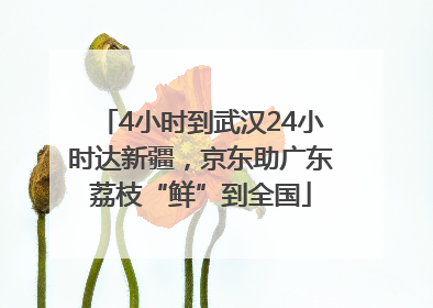 4小时到武汉24小时达新疆，京东助广东荔枝“鲜”到全国