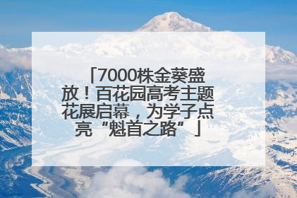 7000株金葵盛放！百花园高考主题花展启幕，为学子点亮“魁首之路”