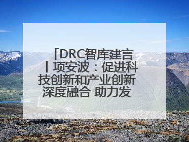 DRC智库建言丨项安波：促进科技创新和产业创新深度融合 助力发展新质生产力