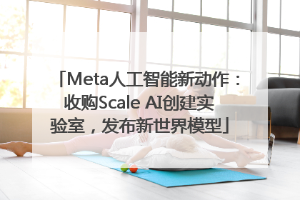 Meta人工智能新动作：收购Scale AI创建实验室，发布新世界模型