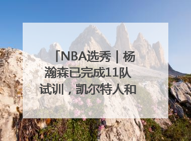 NBA选秀｜杨瀚森已完成11队试训，凯尔特人和太阳更适合他